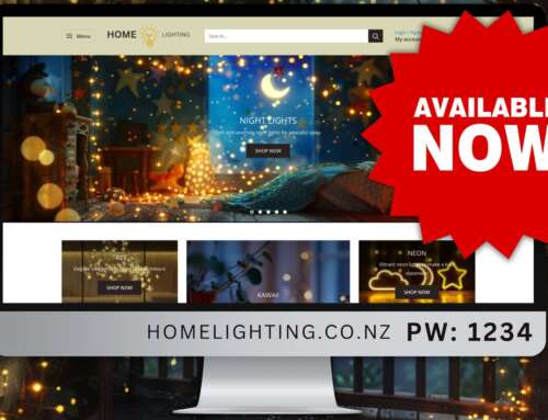 Ready-to-Go Dropshipping Website (homelighting.co.nz Password: 1234) with Expert Training & Support